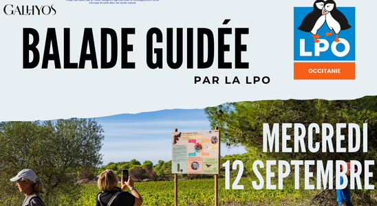 Balade guidée avec la cave Galhyos